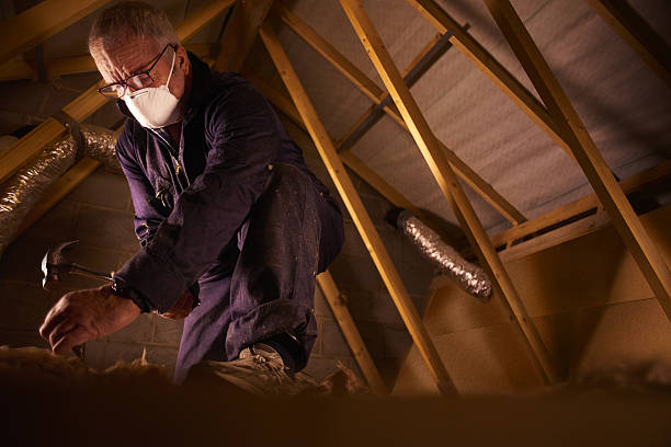 Best Cellulose Insulation  in Fairless Hills, PA